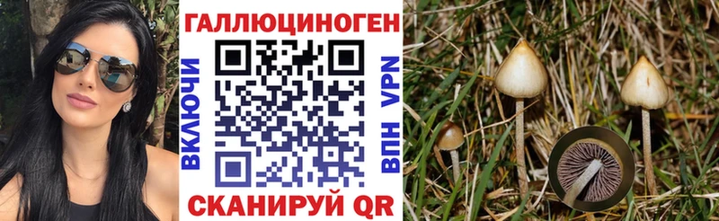 Галлюциногенные грибы Psilocybine cubensis закладка darknet состав Дмитров